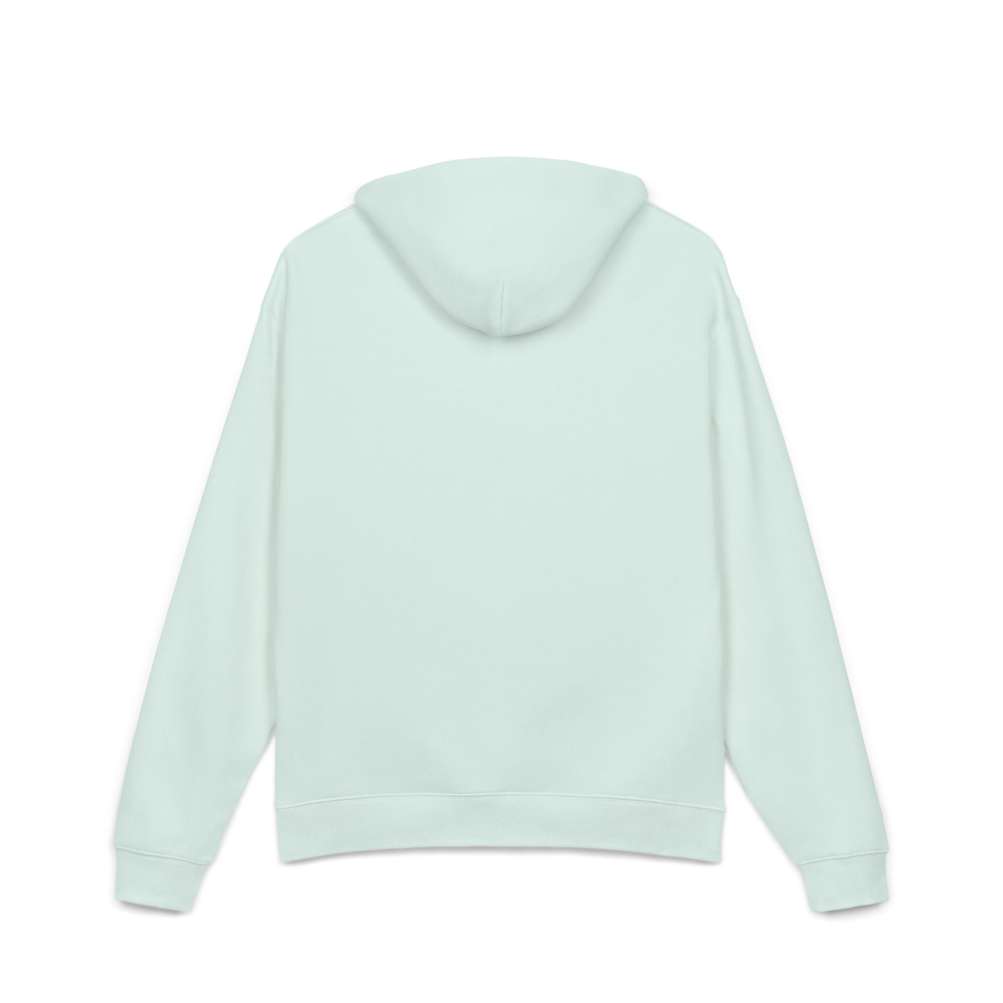 Hoodie Seafoam back